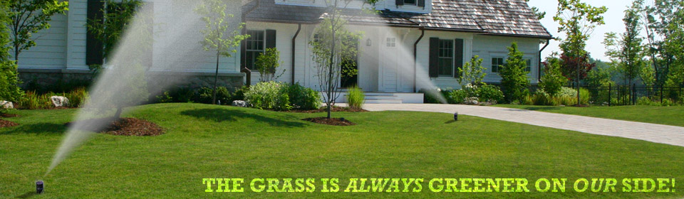 The grass is always greener on our side of the fence!
